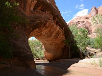 Coyote Gulch
