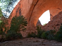 Coyote Gulch