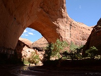 Coyote Gulch