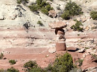 Striped Canyon
