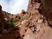 Paradise Arch