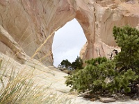 Paradise Arch