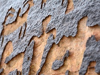 Gap Petroglyphs