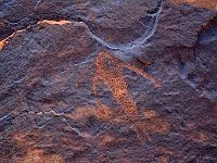 Petroglyphs