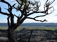Boulder Mail Trail