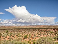 166