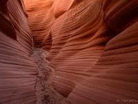 Surprise Canyon