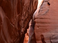 Surprise Canyon