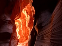 Surprise Canyon