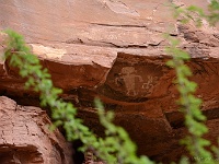 Pictographs