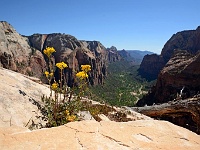 Zion NP - Angels Landing